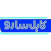 راننده مینی بوس