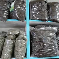چای چایی خشک اصل اصیل ایرانی قلمی و چوبدار لاهیجان|خوردنی و آشامیدنی|تهران, سید خندان (جلفا)|دیوار