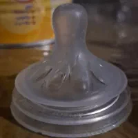 سر شیشه شیر اونت