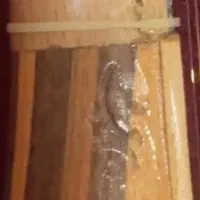 سه‌تار|سازهای سنتی|تهران, امیریه|دیوار