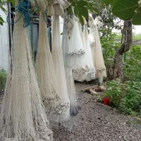 تعداد تور پرتابی یا ماش یا سالک|ماهیگیری|رودسر, |دیوار