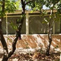 فروش باغ در شهرک‌ فروردین