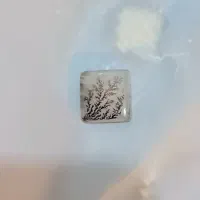 شجر|جواهرات|کهریزک, |دیوار