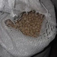 فروش یک تن نخود هر کیلو115