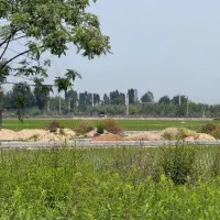 زمین-شهرکی-موقعیت-بی-نظیرباویودریاچه-سندعرصه-وعیان