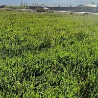 زمین به متراژ ۸۰۰۰