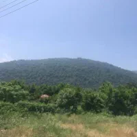 ۳۵۰متر زمین مسکونی بلوار سرولات قابل تهاتر|فروش زمین و ملک کلنگی|چابکسر, |دیوار