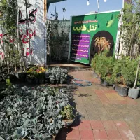 موسسه تولید به مصرف(گل)|خدمات باغبانی و درختکاری|رفسنجان, |دیوار