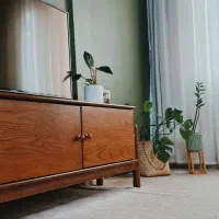 تلویزیون ایکس ویژن سالم