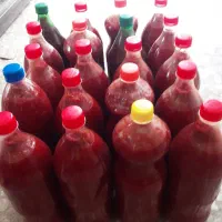 رب گوجه فرنگی درجه یک