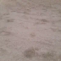 زمین باغ شهری|فروش زمین و ملک کلنگی|مرودشت, محمد آباد|دیوار