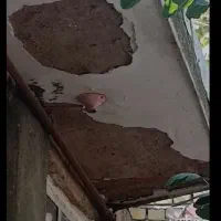 گچکاری‌‌ لکه‌گیری‌ خورده‌کاری‌ سفید‌کاری‌ خاک‌گچ