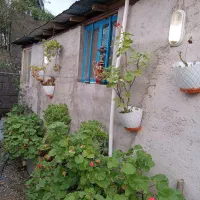 راهنمای گردشگر|تور و چارتر|توتکابن, |دیوار