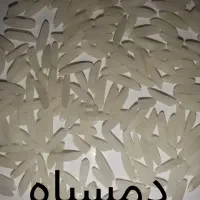 برنج ازتولیدبه مصرف دمسیاه وندا|خوردنی و آشامیدنی|گنبد کاووس, |دیوار