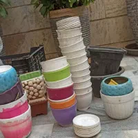 گلدان|گل و گیاه طبیعی|تهران, سلسبیل شمالی|دیوار