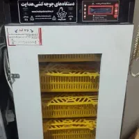 دستگاه جوجه کشی ۲۱۰ تایی هدایت