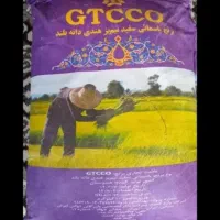 برنج جی تی سی هندی