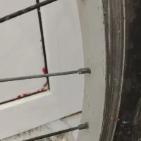 رینگ دوچرخه|دوچرخه، اسکیت، اسکوتر|تربت جام, میان جام|دیوار