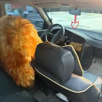 پژو405|خودرو سواری و وانت|سراوان, |دیوار