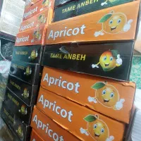 لواشک انبه زردآلو فشرده