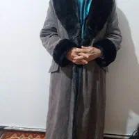 پالتو نو نو