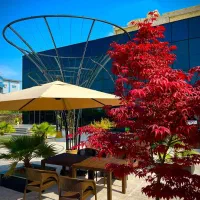 استخدام کمک آشپز|استخدام خدمات فروشگاه و رستوران|بندر انزلی, طالب آباد|دیوار