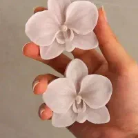 گیفت ارکیده