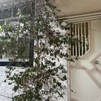 اجاره-روزانه-سوییت-اپارتمان