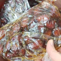 خرما کبکاب|خوردنی و آشامیدنی|شیراز, گلستان|دیوار