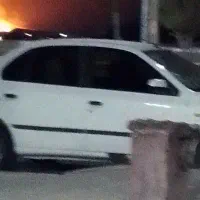 دربست شیراز ،یاسوج،جنوب،اصفهان