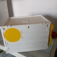 لانه عروس هلندی