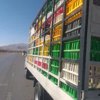 ایسوزو ۶ تن مرغی|خودرو سنگین|بجنورد, |دیوار