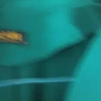 مانتو ،کت وپالتو مخمل|لباس|آبادان, |دیوار