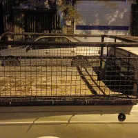 سه چرخ سالم|فروشگاه و مغازه|مریوان, |دیوار