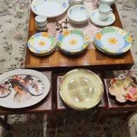 سرویس آرکوپال فرانسه امارات چینی رخ لمونژ آمریکایی