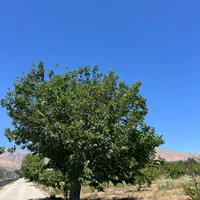 جابان شهرک بوستان۷۵ زمین ۳۰۰متر بر۱۰ خوش نقشه+سند|فروش زمین و ملک کلنگی|دماوند, |دیوار