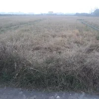 زمین مسکونی با بر ده متری