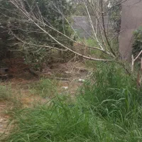 ۶۰۰ متر خونه باغ بافت مسکونی،برجاده محل اسنادمعتبر|فروش خانه و ویلا|فریدون‌کنار, |دیوار