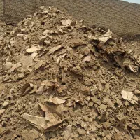 کودمرغ|خدمات باغبانی و درختکاری|گرگان, |دیوار