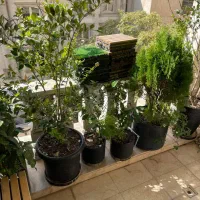 ۱۷۷ متر ۳ خواب مستر /۴پارکینگ شش ساله در زعفرانیه|فروش آپارتمان|تهران, زعفرانیه|دیوار