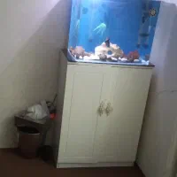 اکواریوم کاملا نو