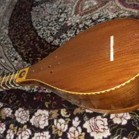 تار کنونی|سازهای سنتی|دزفول, |دیوار