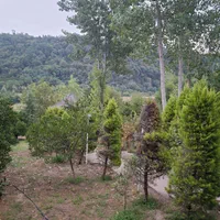 سرایدار باغ ویلا