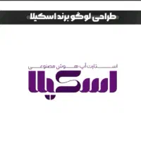 طراح گرافیست . طراحی گرافیک حرفه ای با قیمت مناسب