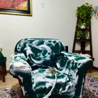 شستشوی انواع مبل و فرش الماس