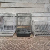 قفس پرنده طوطی