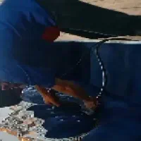 مبل شویی فریدونی|خدمات نظافت|گلپایگان, |دیوار