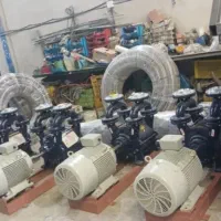 خط تولید شانه تخم مرغ