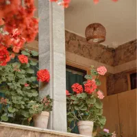 استخدام نیروی پذیرش شب