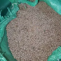 نخود بوجاری کرده درشت وتمیز درجه ۱|خوردنی و آشامیدنی|رودشت (چهارمحال و بختیاری), |دیوار